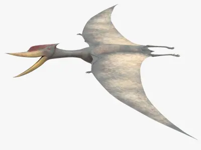 Realistic Pterodactyl Low-poly 3D model