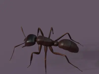 Common Ant  Low-poly 3D model