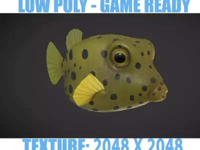 Puffer fish 01 Low-poly 3D model
