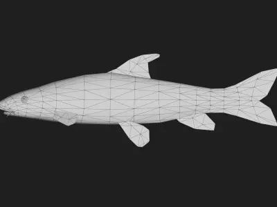 Barbel Low-poly 3D model