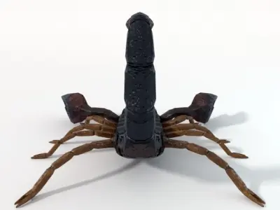 Scorpion Low-poly 3D model