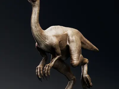 Dinosaur Gallimimus Unity Project  Low-poly 3D model