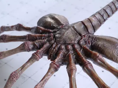 Alien Facehugger - 3D Asset Kit PBR Low-poly 3D model