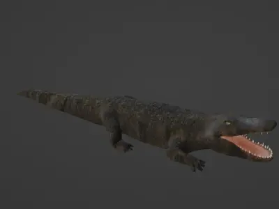 Crocodile Low-poly 3D model