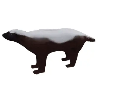 HoneyBadger dog in snow Low-poly 3D model