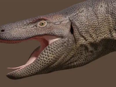 Megalania dinosaur Low-poly 3D model