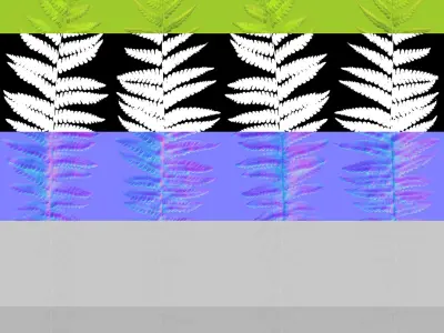 Ferns 01-07 3D model