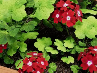 Low-Poly Wood Flower Planter with Geraniums 3D Model Low-poly 3D model