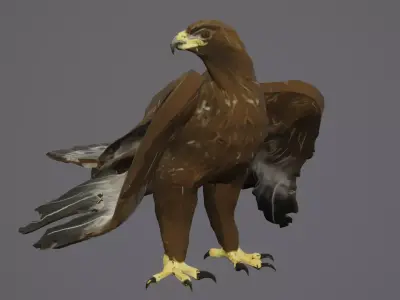 Golden Eagle Low Polly Low-poly 3D model