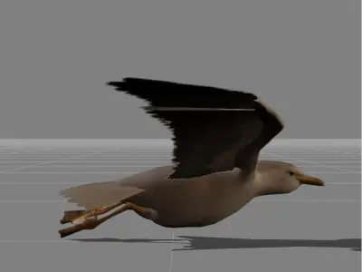 seagull v1 Low-poly 3D model