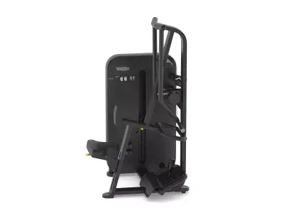 Technogym Selectorized Artis Rear Delt Row 3D model
