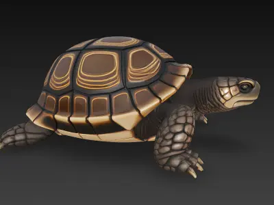 Turtle Realistic 3D Model - Low Poly Realistic Low-poly 3D model