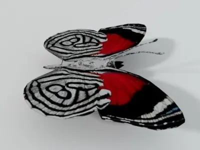 Butterfly 89 Low-poly 3D model