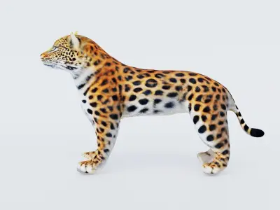 Leopard Free 3D model