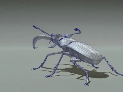 Stag beetle 3D model