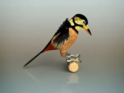 Woodpecker Bird 3D model