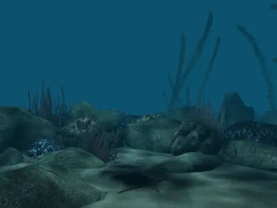 Coral reef low poly Low-poly 3D model