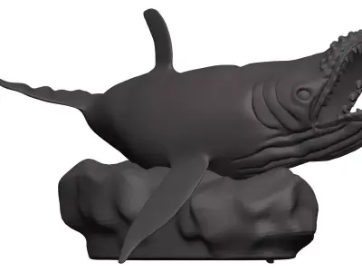 Humback Whale  3D model