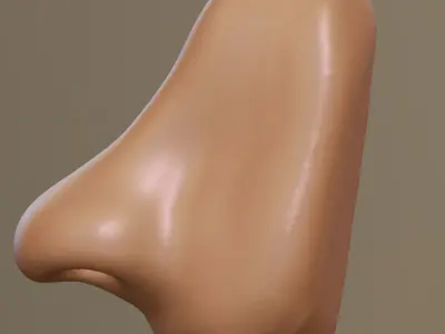 Matcap nose part 3D model