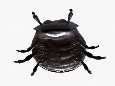 Rigged Bug  Low-poly 3D model