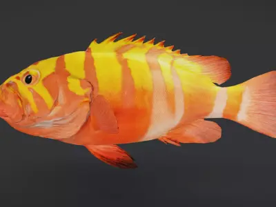 Realistic Neptune Grouper Animated 3D model