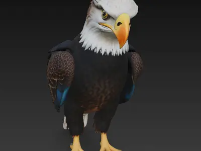 Eagle Realistic 3D Model - Low Poly Realistic Low-poly 3D model