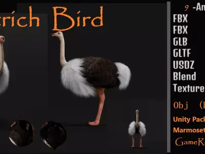 Ostrich Bird Low-poly 3D model