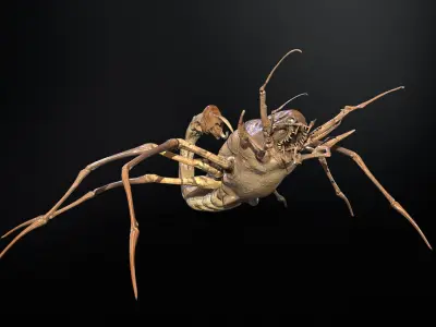 LandBug2 A1 Low-poly 3D model