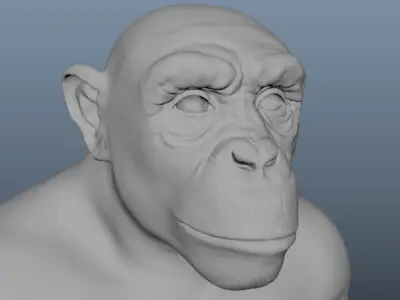 Chimp Base Mesh 3D model