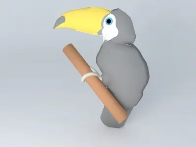 Toucan (Ramphastos toco Free 3D model