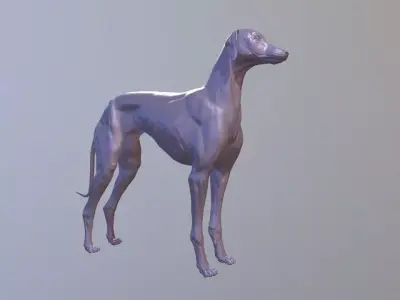 Greyhound Dog Realistic Free 3D model