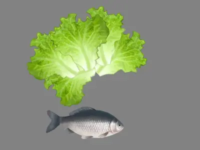 Cartoon fish and vegetable Low-poly 3D model