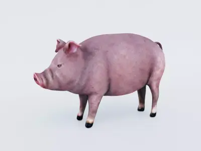Pig Animal Free 3D model