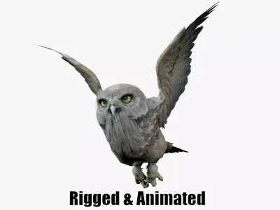 animated owl Low-poly 3D model