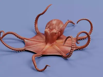 -Giant Pacific Octopus Rigged and Animated- 3D model