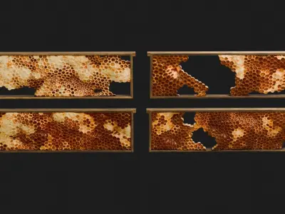 Honeycomb Frames 3D model