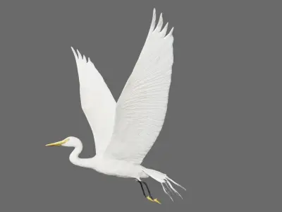 Egret flying in sky Low-poly 3D model
