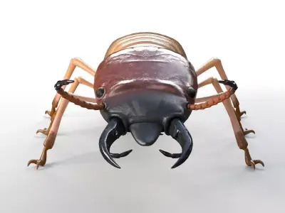 Termite insect Low-poly 3D model