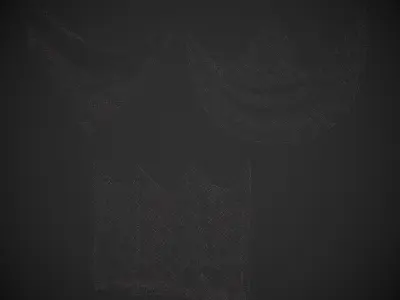 Fishing Net - Intact and Damaged Low-poly 3D model