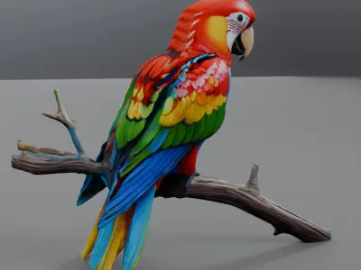 brazilian parrot 3D model