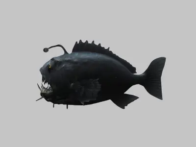 Black Humpback anglerfish Deep-sea fish Abyss Abyssal Low-poly 3D model