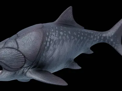 Dunkleosteus Asset Pack Low-poly 3D model
