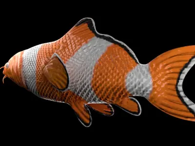 cartoon nemo fish Low-poly 3D model
