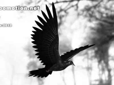 Crow - Animated Low-poly 3D model