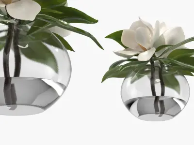 Transparent Glass Vase with White Magnolia Flowers 3D model