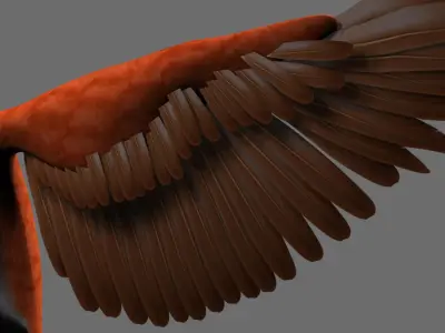 Munia 3D model