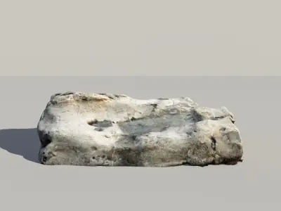 Fossile Whale Bone 3d Scan 3D model