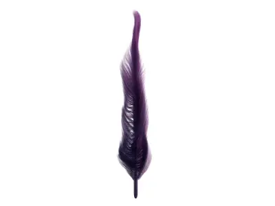 Feather 3D model