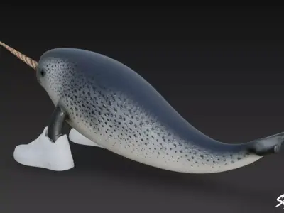 Narvalero Narvalala - Italian BrainRot Low-poly 3D model