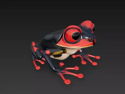 Frog Poisonous Realistic 3D Model Basic - Low Poly Realistic Low-poly 3D model